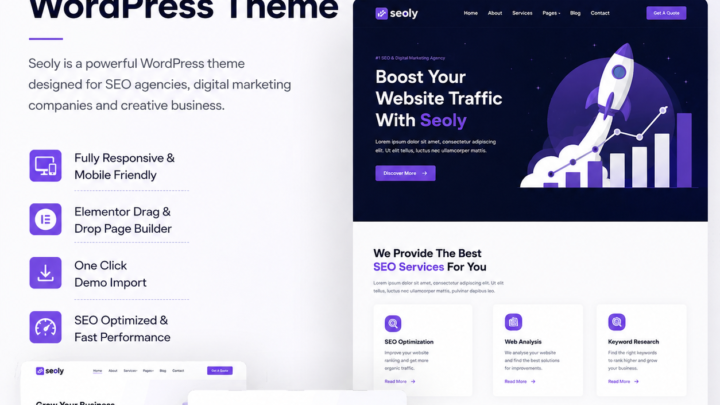 Seoly Wp Theme